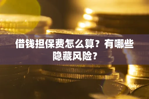 武汉借钱担保费怎么算？有哪些隐藏风险？