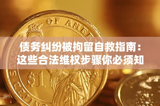 武汉债务纠纷被拘留自救指南：这些合法维权步骤你必须知道！