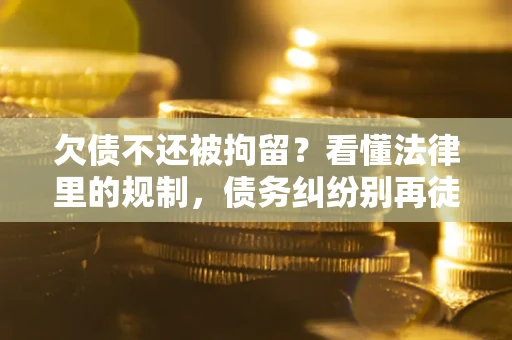 武汉欠债不还被拘留？看懂法律里的规制，债务纠纷别再徒劳奔波