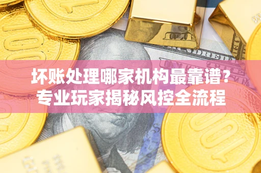 武汉坏账处理哪家机构最靠谱？专业玩家揭秘风控全流程