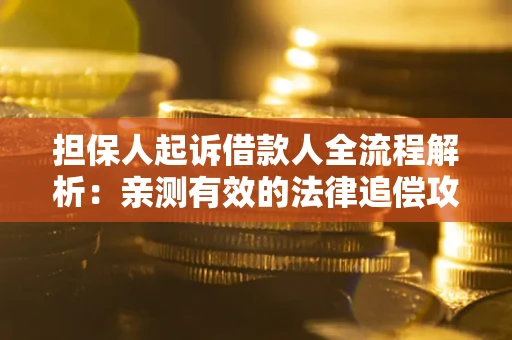 武汉担保人起诉借款人全流程解析：亲测有效的法律追偿攻略
