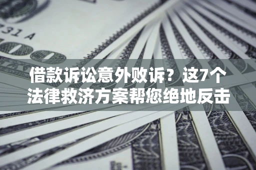 武汉借款诉讼意外败诉？这7个法律救济方案帮您绝地反击！