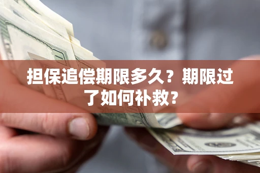 武汉担保追偿期限多久？期限过了如何补救？
