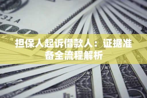 武汉担保人起诉借款人：证据准备全流程解析