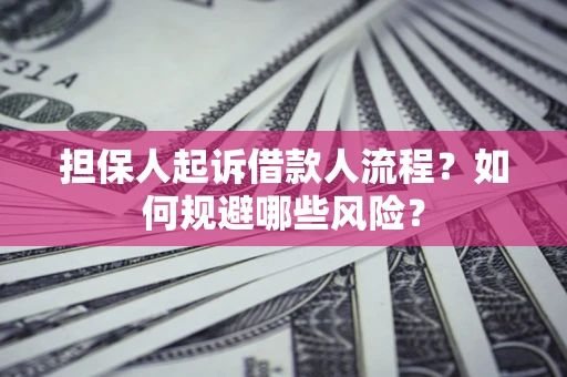 武汉担保人起诉借款人流程？如何规避哪些风险？