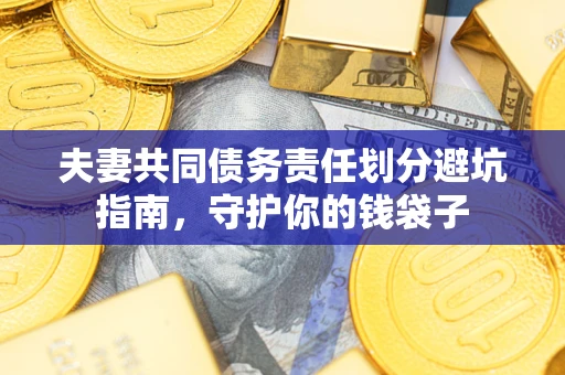武汉夫妻共同债务责任划分避坑指南，守护你的钱袋子