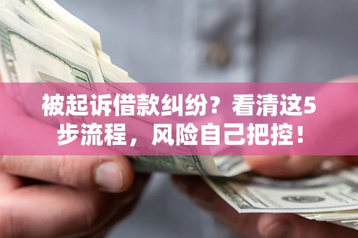 武汉被起诉借款纠纷？看清这5步流程，风险自己把控！