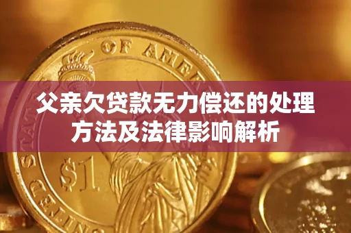 武汉父亲欠贷款无力偿还的处理方法及法律影响解析