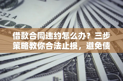 武汉借款合同违约怎么办？三步策略教你合法止损，避免债务危机升级