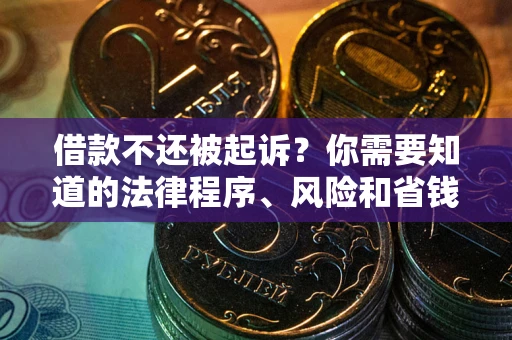 武汉借款不还被起诉？你需要知道的法律程序、风险和省钱技巧
