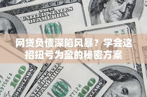 武汉网贷负债深陷风暴？学会这招扭亏为盈的秘密方案
