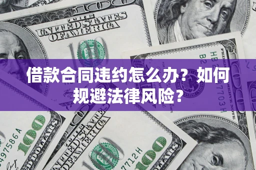 武汉借款合同违约怎么办？如何规避法律风险？